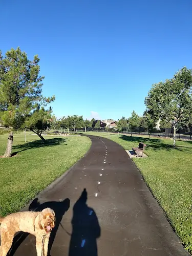 Dog Park Egret Park Sacramento