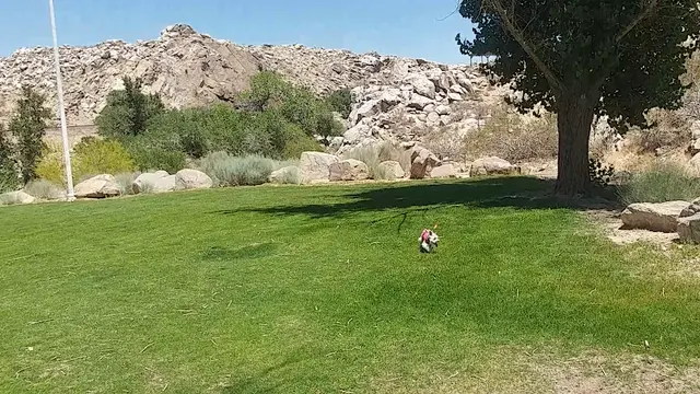 Dog Park Rockview Nature Park Victorville