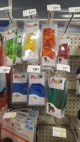 Dog day care center PetSmart Grooming Los Angeles