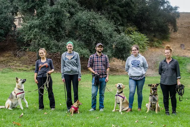 Dog trainer Dog Savvy Los Angeles Los Angeles
