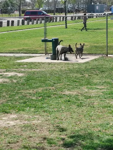 Dog Park Bellis Park Dog Park South Gate