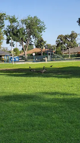 Dog Park Bixby Knolls Park Carson