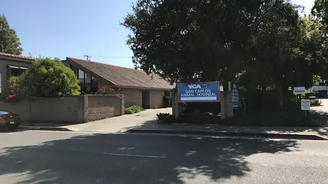 Pet vet VCA San Carlos Animal Hospital San Mateo