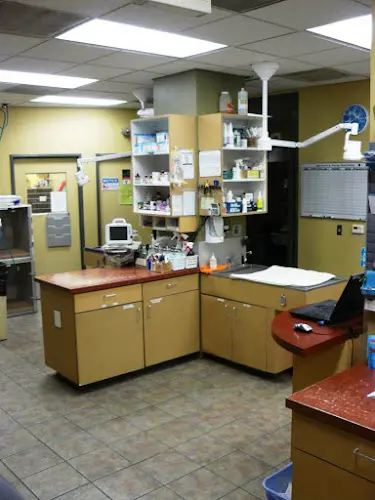 Pet vet VCA Los Angeles Veterinary Specialists Los Angeles