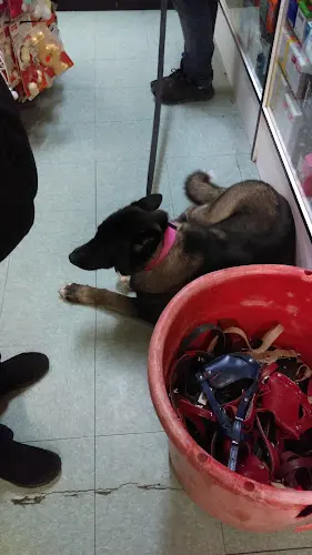 Dog breeder El Granero Pet Shop Carson
