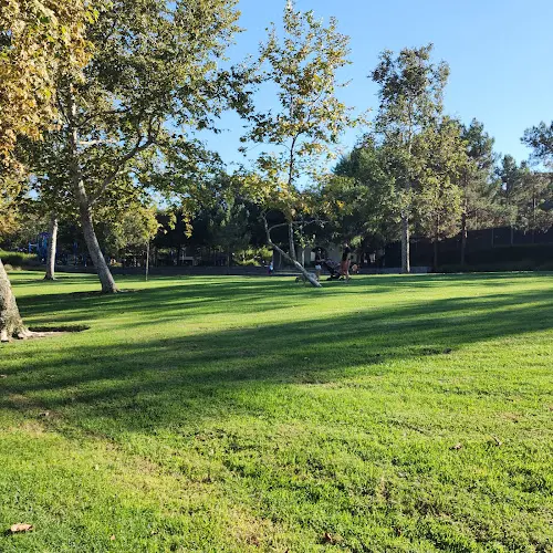 Dog Park Knollcrest Park Irvine