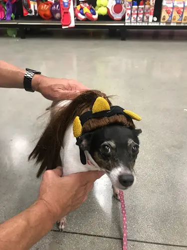 Dog day care center Petco Carlsbad