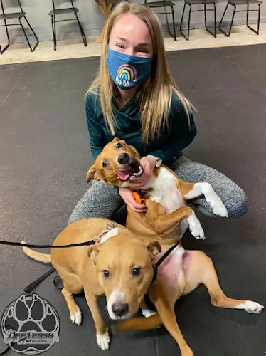 Dog trainer Off Leash K9 Training of Spokane, LLC Spokane