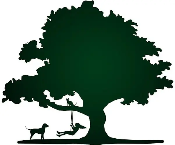 Pet vet Lone Oak Veterinary Clinic Visalia