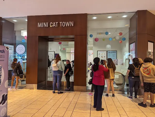 Rescue & Shelter Mini Cat Town Vallejo