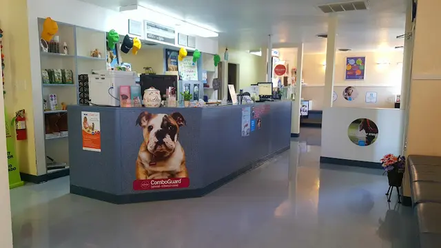 Pet vet VCA Highlands Animal Hospital Sacramento