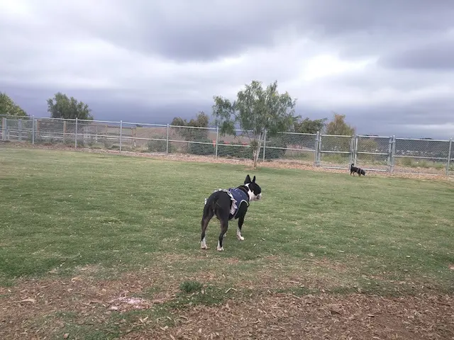 Dog day care center La Paws Dog Park Mission Viejo
