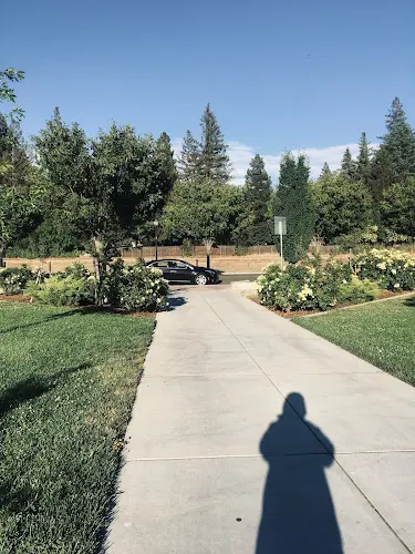 Dog Park Oakbrook Park Sacramento