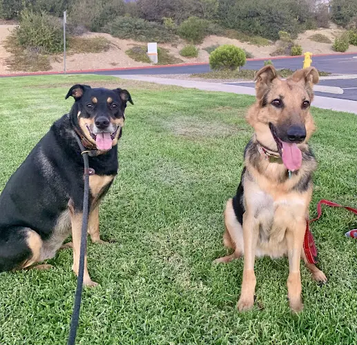 Pet vet Governor Animal Clinic San Diego