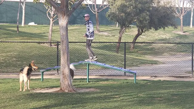 Dog Park American Heroes Dog Park Temecula