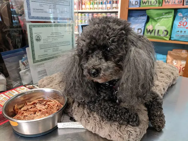 Pet vet Jeffrey's Natural Pet Foods North Beach San Francisco