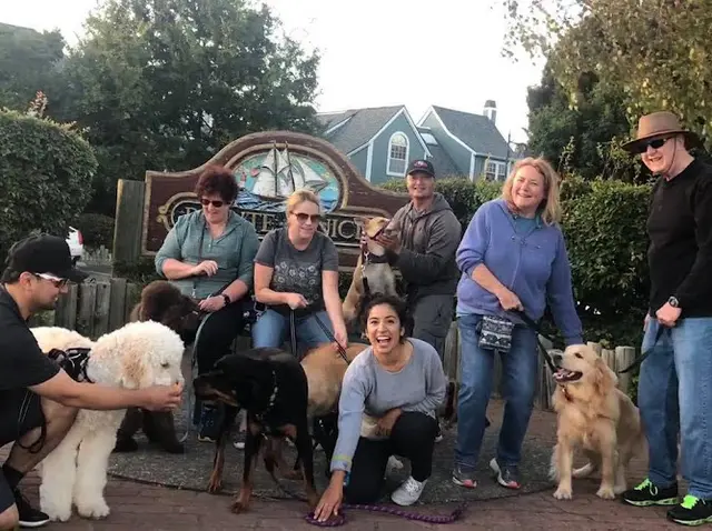 Dog trainer Vallejo Dog Training Club Richmond