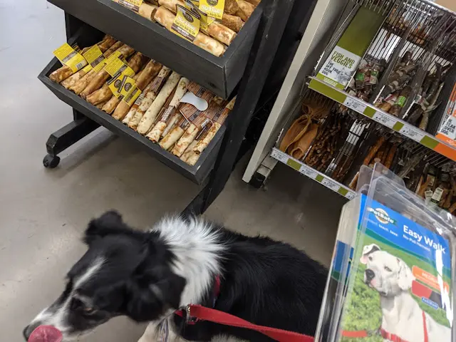 Rescue & Shelter Pet Food Express San Francisco