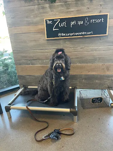 Dog trainer The Zuri Pet Spa & Resort Mission Viejo