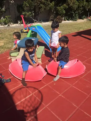 Dog day care center Anmol Daycare San Jose