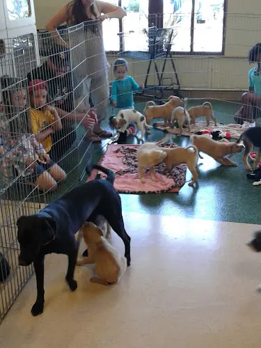 Dog breeder Petco Chula Vista