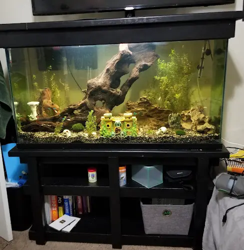 Rescue & Shelter C K Fish World West Covina