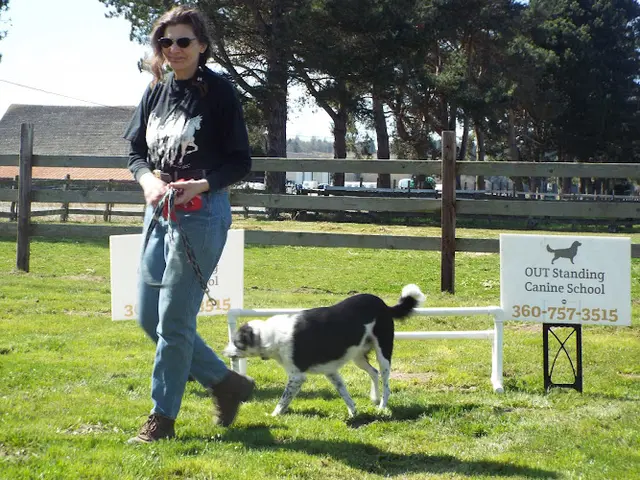 Dog trainer Hoof And Woof Bellingham