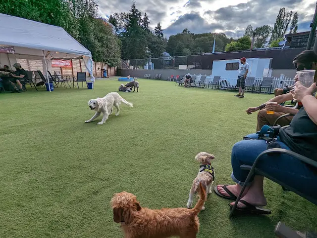 Dog day care center Growlerz Seattle Seattle