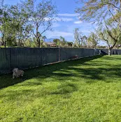 Dog Park Greenbelt Dog Park Indio