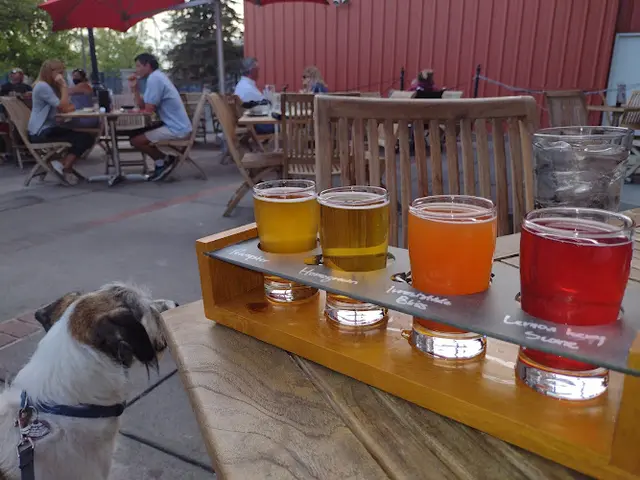 Dog Park Bark, A Rescue Pub Spokane
