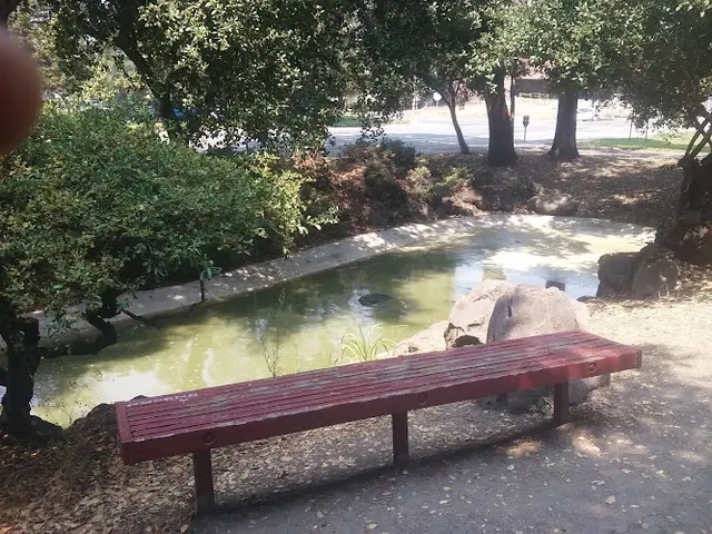 Dog Park Sonoma Ave. Park Santa Rosa