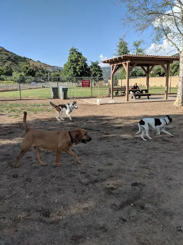 Dog walker Mayflower Dog Park Escondido