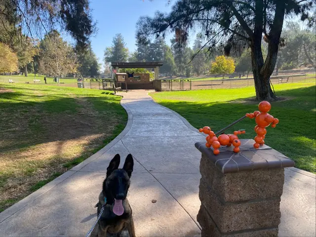 Dog Park Redlands Dog Park Temecula