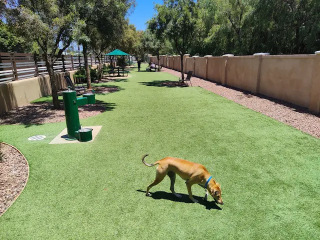 Dog Park Laguna Woods Dog Park Irvine