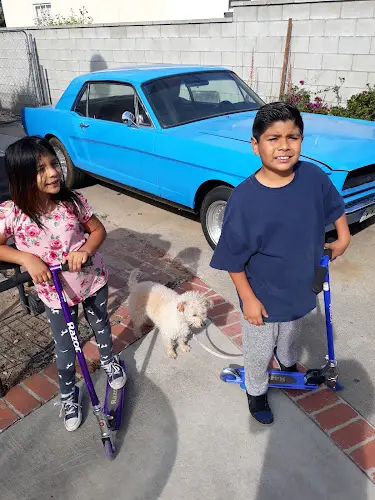 Dog day care center Palm Plaza Moreno Valley