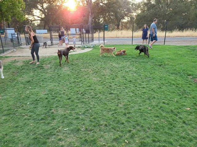 Dog Park William Bill Hughes Park Roseville