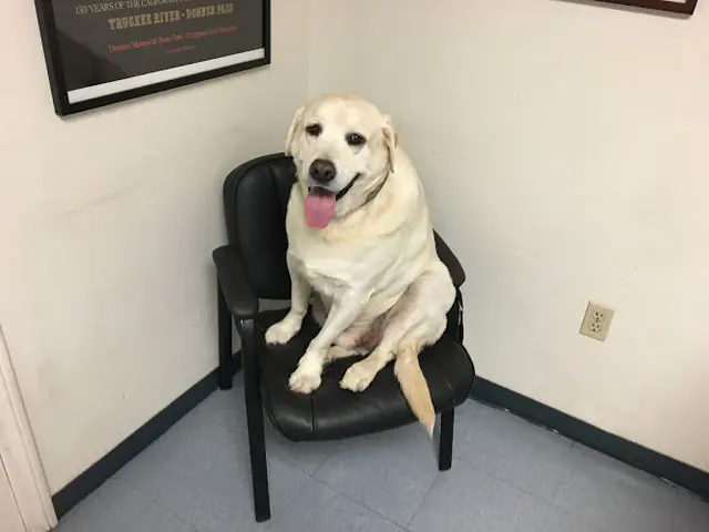 Pet boarding service Parkway Pet Clinic Escondido