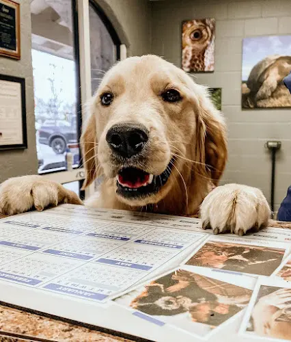 Pet vet Pet Hospital of Penasquitos-Veterinary Specialist San Diego