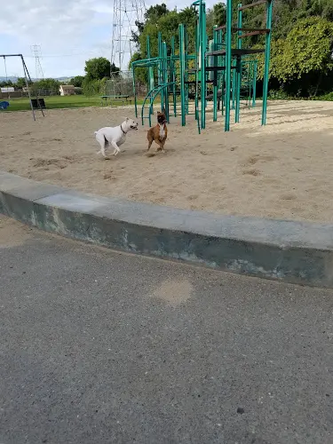Dog Park Jacobsen Park Antioch