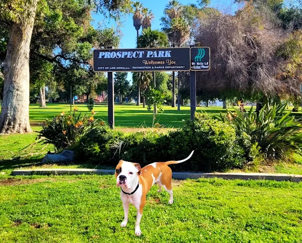 Dog Park Prospect Park Los Angeles