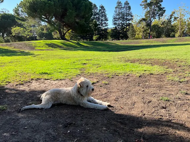 Dog Park Dog offleash area | Cuesta Park Sunnyvale