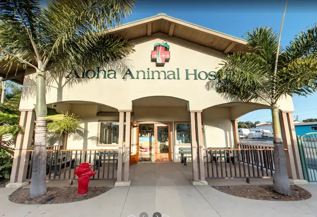Dog day care center Aloha Animal Hospital Vista