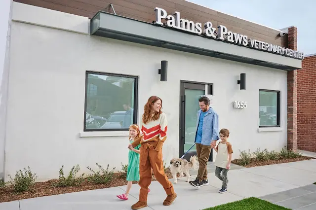 Pet vet Palms & Paws Veterinary Center Santa Monica