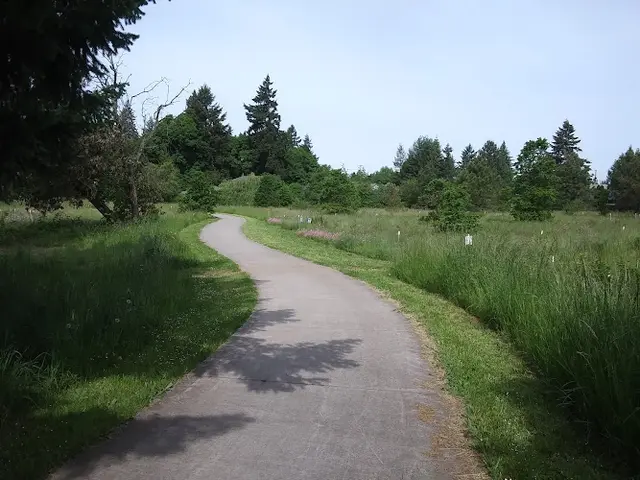 Dog Park Rasor Park Eugene