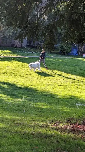 Dog Park Mosswood Park Oakland