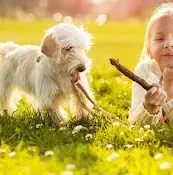 Pet vet East West Veterinary Clinic Simi Valley