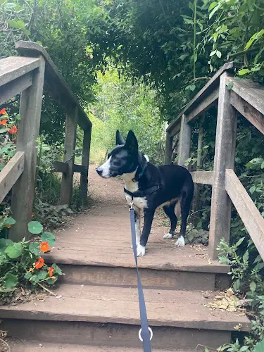 Dog Park Historic Trail Trailhead Daly City