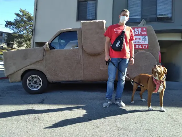 Dog walker GoDog SF / #1 Dog Walker San Francisco
