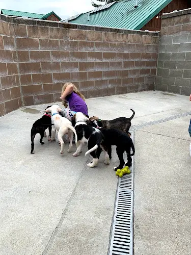 Rescue & Shelter The NOAH Center Federal Way