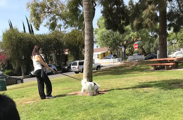 Dog Park Reynier Park Los Angeles